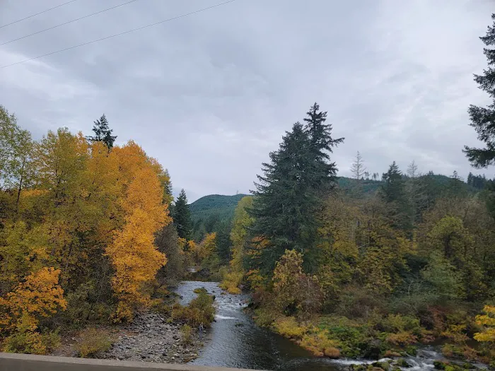 Sharps Creek Recreation Site Picture 4