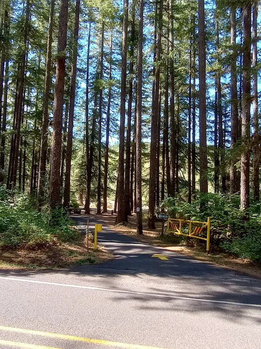 Sharps Creek Recreation Site Picture 8