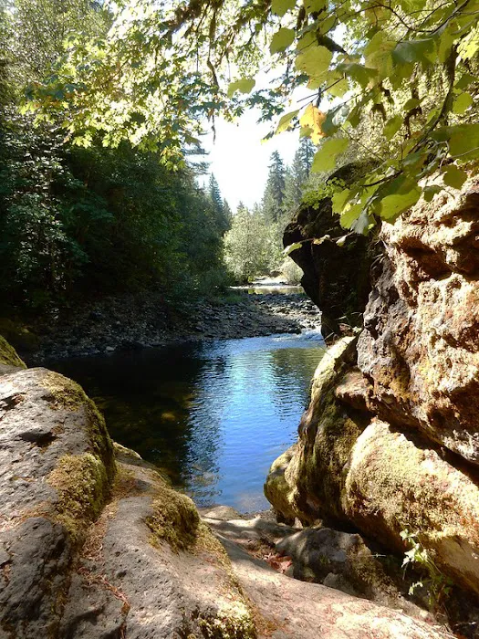 Sharps Creek Recreation Site Picture 5