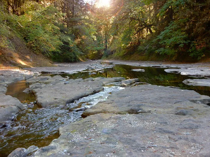 Sharps Creek Recreation Site Picture 6
