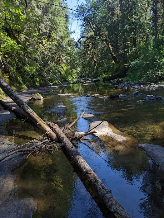 Sharps Creek Recreation Site Picture 10