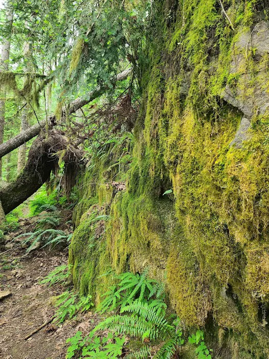Rujada Campground Picture 2