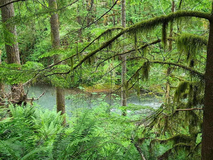 Rujada Campground Picture 3