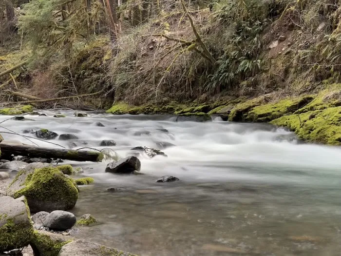 Cedar Creek Campground Picture 5