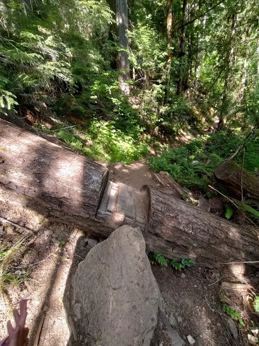 Cedar Creek Campground Picture 2