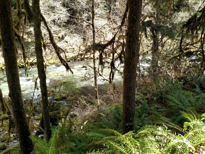 Cedar Creek Campground Picture 10
