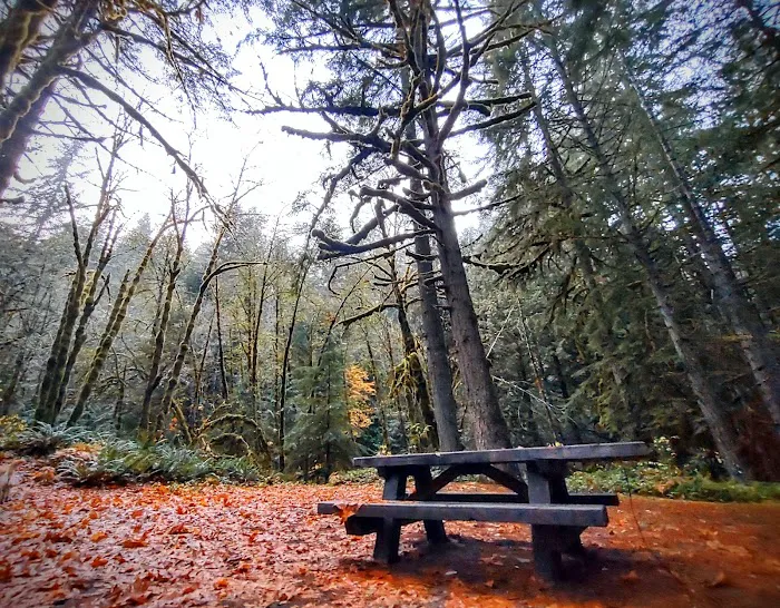 Lund Park Campground Picture 3