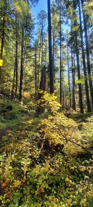 Lund Park Campground Picture 2