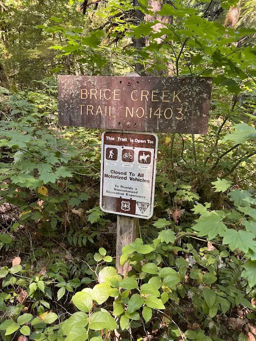 Lund Park Campground Picture 10