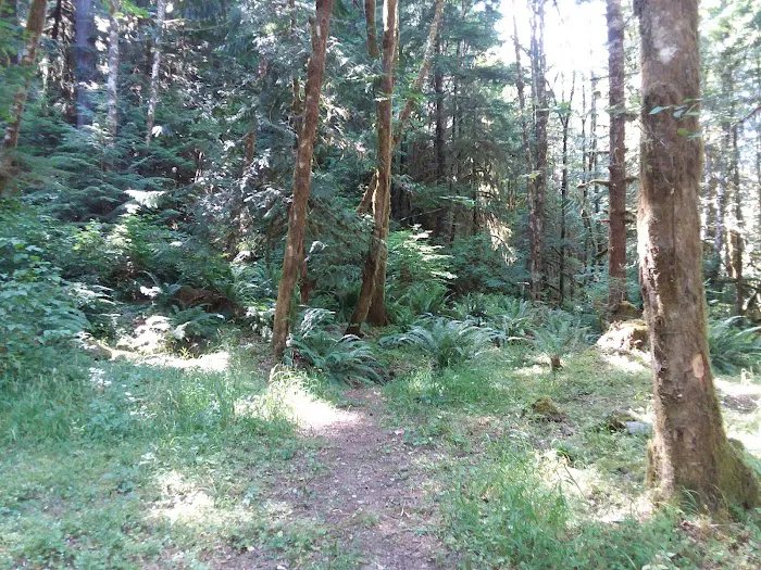 Hobo Camp Campground Picture 8
