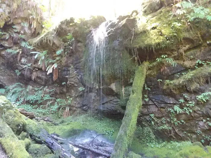 Hobo Camp Campground Picture 3
