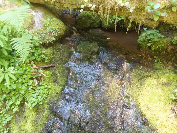 Hobo Camp Campground Picture 2