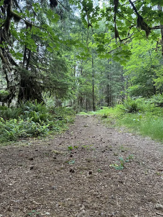 Mineral Camp Campground Picture 9