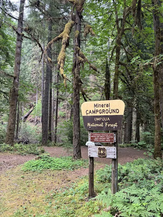 Mineral Camp Campground Picture 4