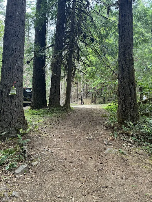 Mineral Camp Campground Picture 8