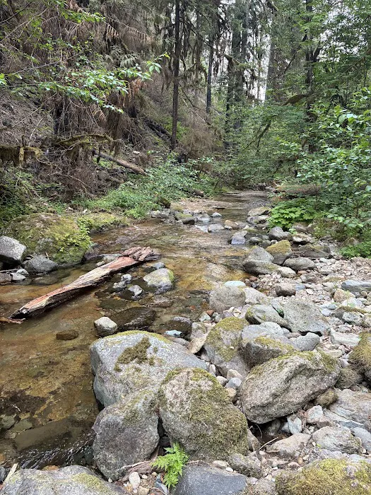 Mineral Camp Campground Picture 6