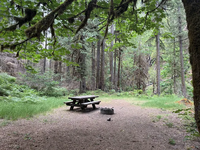 Mineral Camp Campground Picture 10