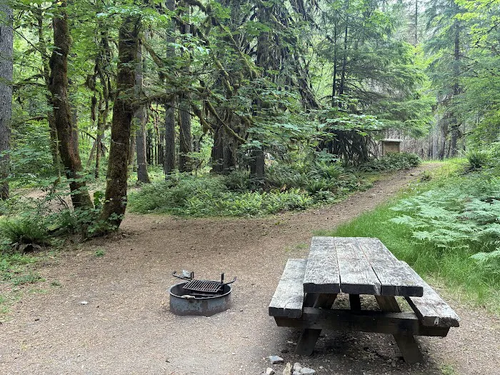 Mineral Camp Campground Picture 3