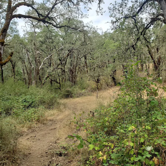 Mildred Kanipe Memorial Park Campground Picture 4
