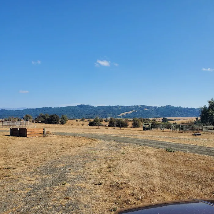 Mildred Kanipe Memorial Park Campground Picture 5