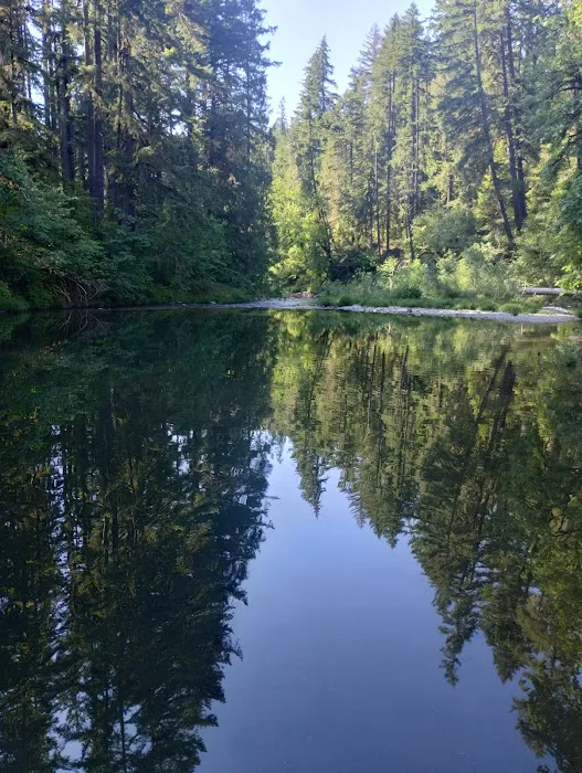 Dolly Varden Campground Picture 4
