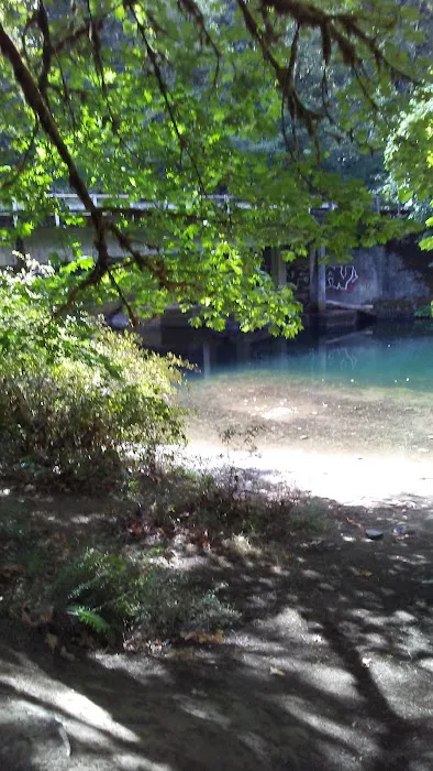 Dolly Varden Campground Picture 3