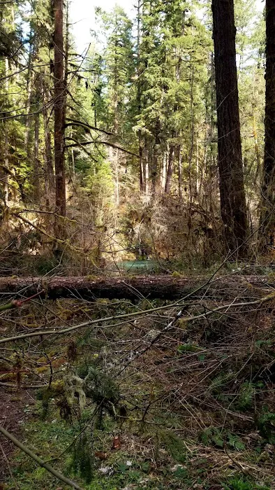 Dolly Varden Campground Picture 10