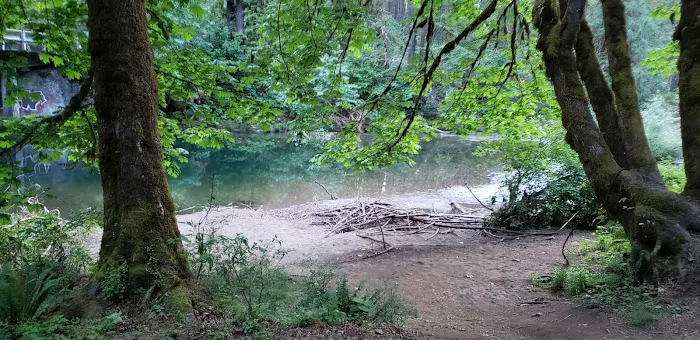 Dolly Varden Campground Picture 9