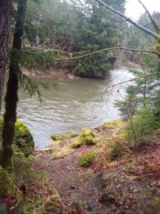 Dolly Varden Campground Picture 5