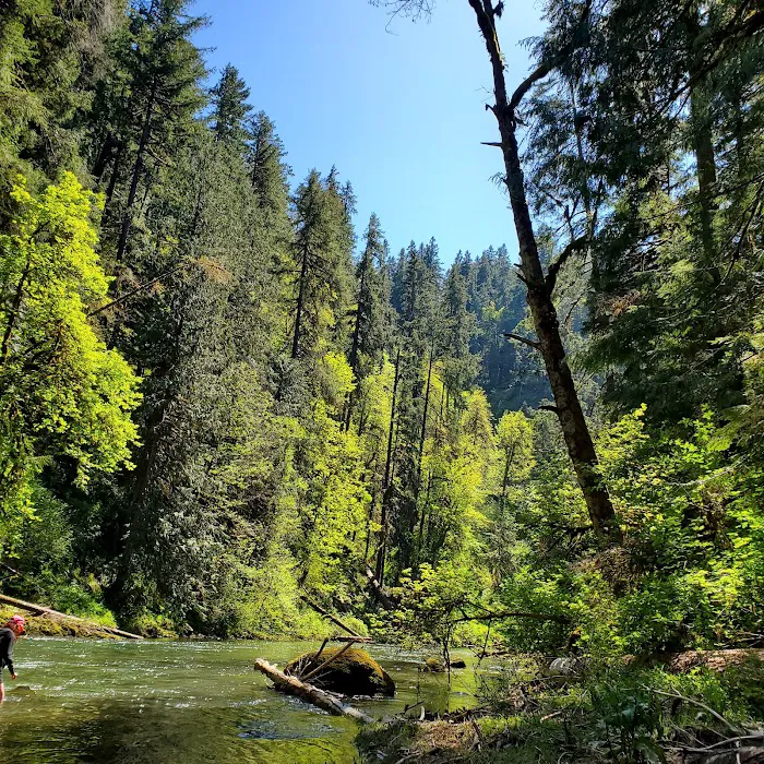 Broken Bowl Campground Picture 1