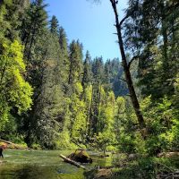 Broken Bowl Campground ico