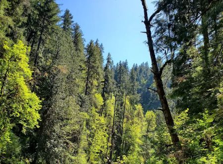 Broken Bowl Campground