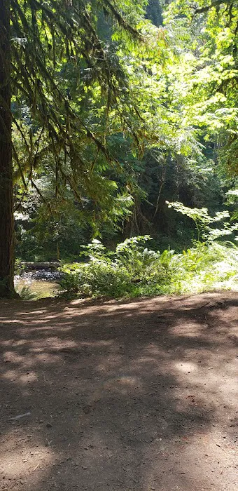 Broken Bowl Campground Picture 9