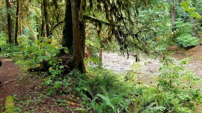 Broken Bowl Campground Picture 3