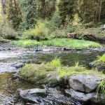 Big Pool Campground