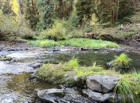 Big Pool Campground