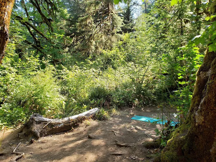 Big Pool Campground Picture 5