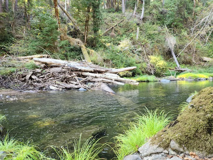 Big Pool Campground Picture 8