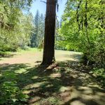 Clark Creek Organization Campground