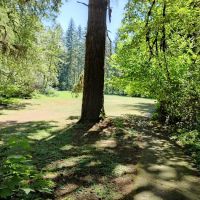 Clark Creek Organization Campground ico
