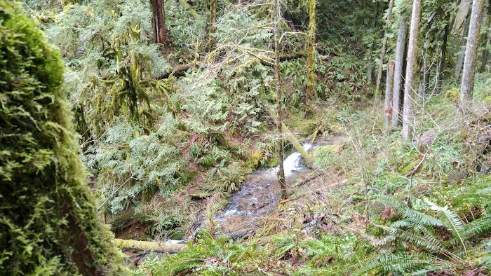 Clark Creek Organization Campground Picture 9