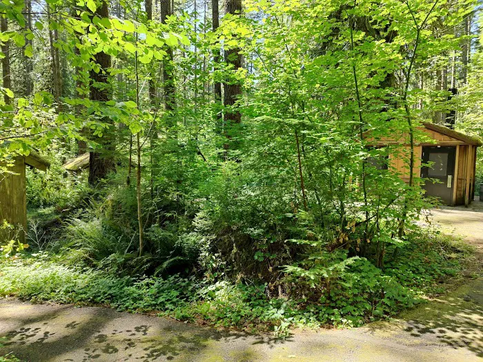 Clark Creek Organization Campground Picture 5