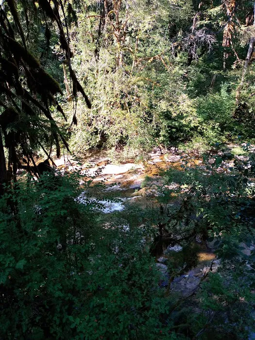 Puma Campground Picture 2