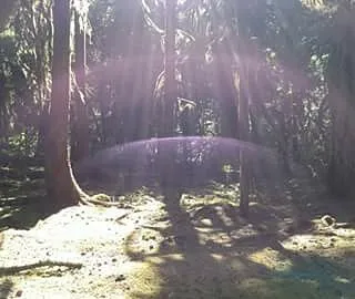 Puma Campground Picture 3