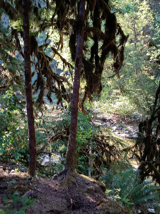 Puma Campground Picture 6