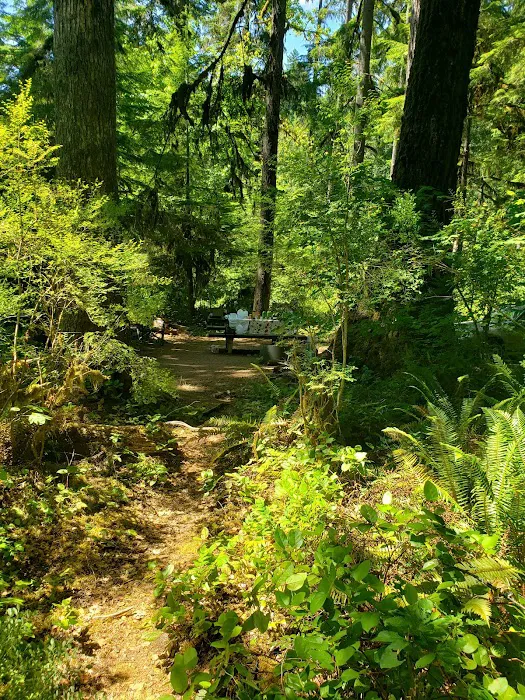 Puma Campground Picture 10