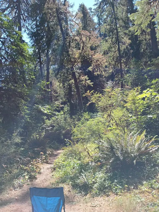 Puma Campground Picture 8