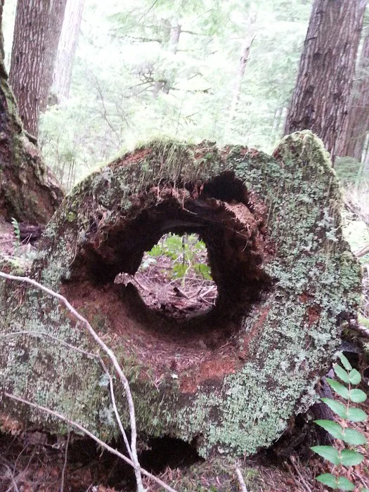 Puma Campground Picture 9