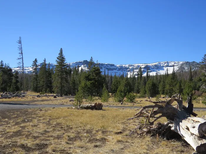 Three Creek Meadow Campground & Horsecamp Picture 4