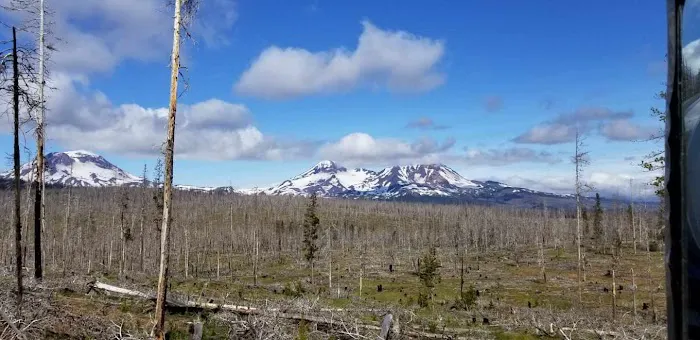 Three Creek Meadow Campground & Horsecamp Picture 2